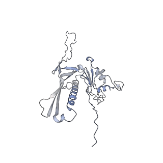 29540_8fxp_AB_v1-0
Structure of capsid of Agrobacterium phage Milano