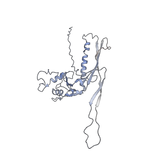 29540_8fxp_AG_v1-0
Structure of capsid of Agrobacterium phage Milano