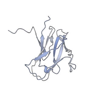 29540_8fxp_AI_v1-0
Structure of capsid of Agrobacterium phage Milano