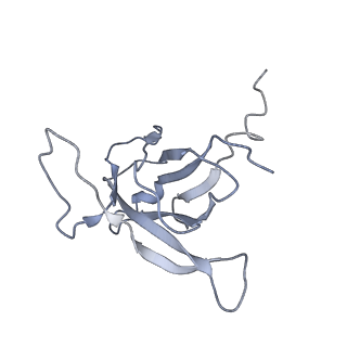 29540_8fxp_AK_v1-0
Structure of capsid of Agrobacterium phage Milano
