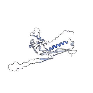 29540_8fxp_g_v1-0
Structure of capsid of Agrobacterium phage Milano