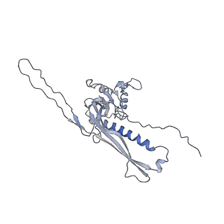 29540_8fxp_h_v1-0
Structure of capsid of Agrobacterium phage Milano