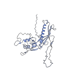 29540_8fxp_i_v1-0
Structure of capsid of Agrobacterium phage Milano