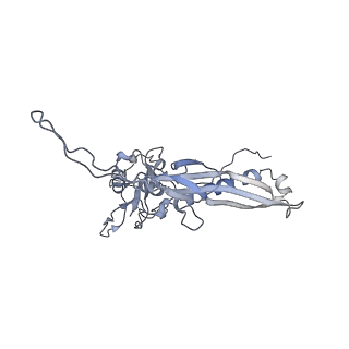 29540_8fxp_j_v1-0
Structure of capsid of Agrobacterium phage Milano