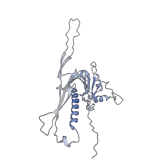 29540_8fxp_k_v1-0
Structure of capsid of Agrobacterium phage Milano