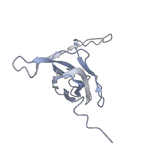 29540_8fxp_l_v1-0
Structure of capsid of Agrobacterium phage Milano