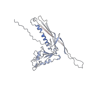 29540_8fxp_o_v1-0
Structure of capsid of Agrobacterium phage Milano
