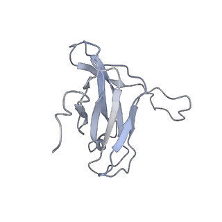 29540_8fxp_q_v1-0
Structure of capsid of Agrobacterium phage Milano