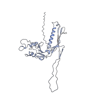 29540_8fxp_r_v1-0
Structure of capsid of Agrobacterium phage Milano