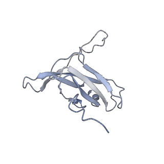 29540_8fxp_t_v1-0
Structure of capsid of Agrobacterium phage Milano