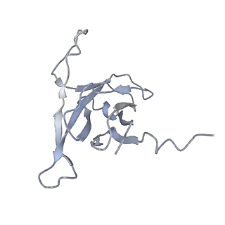 29540_8fxp_u_v1-0
Structure of capsid of Agrobacterium phage Milano