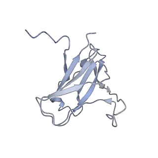 29540_8fxp_v_v1-0
Structure of capsid of Agrobacterium phage Milano