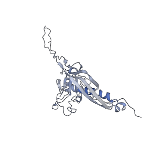 29540_8fxp_w_v1-0
Structure of capsid of Agrobacterium phage Milano