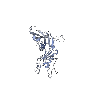 29540_8fxp_x_v1-0
Structure of capsid of Agrobacterium phage Milano