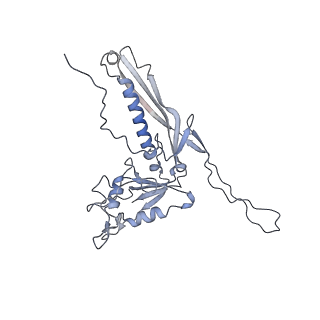 29540_8fxp_y_v1-0
Structure of capsid of Agrobacterium phage Milano