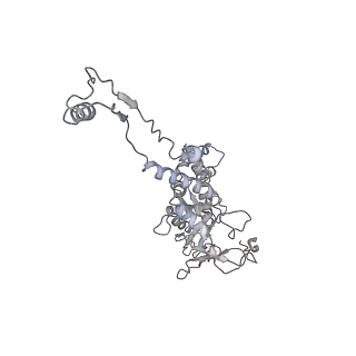 29541_8fxr_AB_v1-0
Structure of neck with portal vertex of capsid of Agrobacterium phage Milano