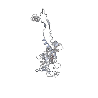 29541_8fxr_AC_v1-0
Structure of neck with portal vertex of capsid of Agrobacterium phage Milano