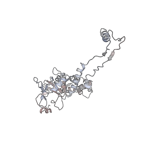 29541_8fxr_AE_v1-0
Structure of neck with portal vertex of capsid of Agrobacterium phage Milano