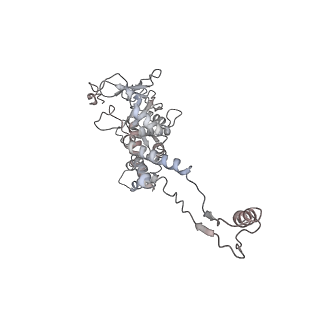 29541_8fxr_AH_v1-0
Structure of neck with portal vertex of capsid of Agrobacterium phage Milano
