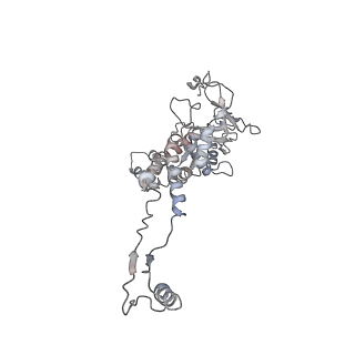 29541_8fxr_AJ_v1-0
Structure of neck with portal vertex of capsid of Agrobacterium phage Milano