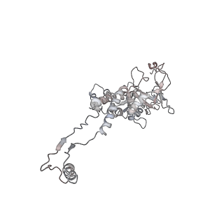 29541_8fxr_AK_v1-0
Structure of neck with portal vertex of capsid of Agrobacterium phage Milano
