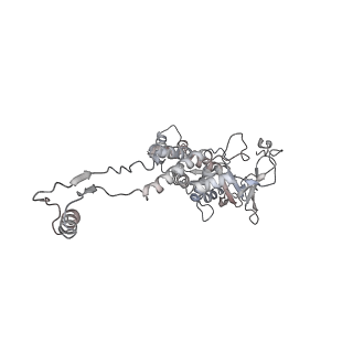 29541_8fxr_AL_v1-0
Structure of neck with portal vertex of capsid of Agrobacterium phage Milano