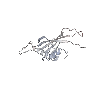 29541_8fxr_AR_v1-0
Structure of neck with portal vertex of capsid of Agrobacterium phage Milano