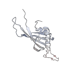 29541_8fxr_AT_v1-0
Structure of neck with portal vertex of capsid of Agrobacterium phage Milano