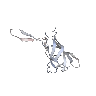 29541_8fxr_AV_v1-0
Structure of neck with portal vertex of capsid of Agrobacterium phage Milano