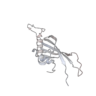 29541_8fxr_AW_v1-0
Structure of neck with portal vertex of capsid of Agrobacterium phage Milano