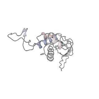 29541_8fxr_b_v1-0
Structure of neck with portal vertex of capsid of Agrobacterium phage Milano