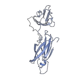 29541_8fxr_d3_v1-0
Structure of neck with portal vertex of capsid of Agrobacterium phage Milano