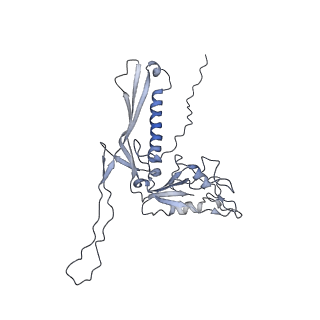 29541_8fxr_h5_v1-0
Structure of neck with portal vertex of capsid of Agrobacterium phage Milano