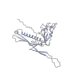 29541_8fxr_h6_v1-0
Structure of neck with portal vertex of capsid of Agrobacterium phage Milano