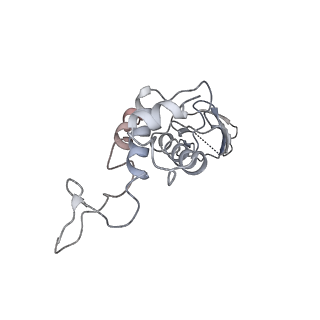 29541_8fxr_h_v1-0
Structure of neck with portal vertex of capsid of Agrobacterium phage Milano