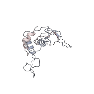 29541_8fxr_j_v1-0
Structure of neck with portal vertex of capsid of Agrobacterium phage Milano