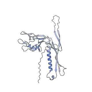 29541_8fxr_k1_v1-0
Structure of neck with portal vertex of capsid of Agrobacterium phage Milano