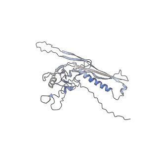 29541_8fxr_n1_v1-0
Structure of neck with portal vertex of capsid of Agrobacterium phage Milano