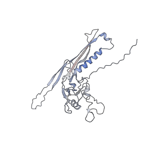 29541_8fxr_n2_v1-0
Structure of neck with portal vertex of capsid of Agrobacterium phage Milano