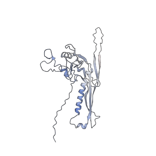 29541_8fxr_n6_v1-0
Structure of neck with portal vertex of capsid of Agrobacterium phage Milano