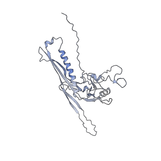 29541_8fxr_n7_v1-0
Structure of neck with portal vertex of capsid of Agrobacterium phage Milano