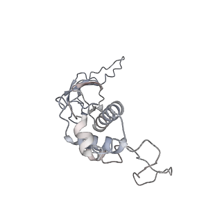 29541_8fxr_n_v1-0
Structure of neck with portal vertex of capsid of Agrobacterium phage Milano