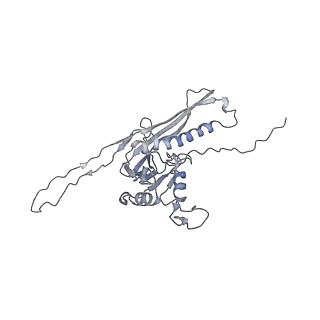 29541_8fxr_o1_v1-0
Structure of neck with portal vertex of capsid of Agrobacterium phage Milano