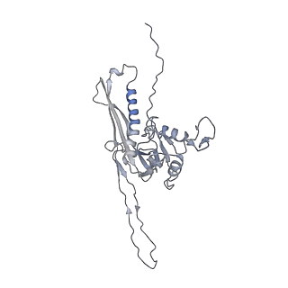 29541_8fxr_o2_v1-0
Structure of neck with portal vertex of capsid of Agrobacterium phage Milano