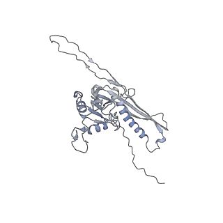 29541_8fxr_o6_v1-0
Structure of neck with portal vertex of capsid of Agrobacterium phage Milano