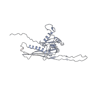 29541_8fxr_o7_v1-0
Structure of neck with portal vertex of capsid of Agrobacterium phage Milano