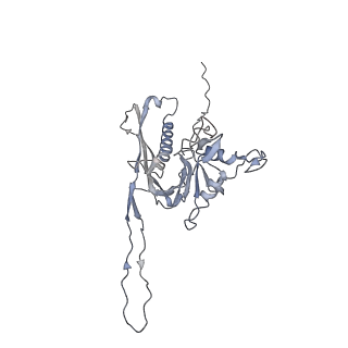 29541_8fxr_r1_v1-0
Structure of neck with portal vertex of capsid of Agrobacterium phage Milano