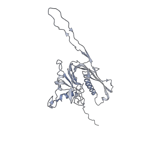 29541_8fxr_r5_v1-0
Structure of neck with portal vertex of capsid of Agrobacterium phage Milano
