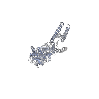 3353_5fxh_A_v1-3
GluN1b-GluN2B NMDA receptor in non-active-1 conformation