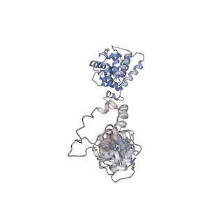 29551_8fy3_A_v1-1
Structure of NOT1:NOT10:NOT11 module of the human CCR4-NOT complex
